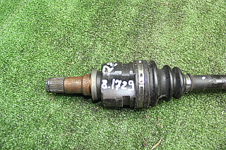 28K81729_2