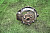 28K81861