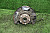 28K81845