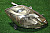 18K2153
