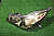 16K0121
