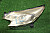 26K1897