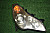 22K0703