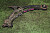 25K0786