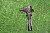 4K1477