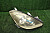 29K5752