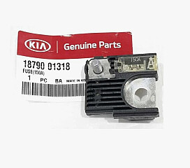 100045K18790-01318