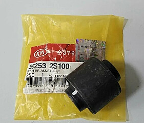 100171K55253-2S100