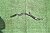 28K42305