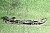 14K1196